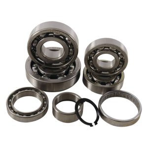 Kawasaki KX 125 Transmission Bearing Kit - Hot Rods - 2005